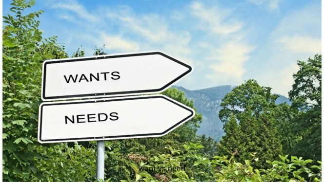 
 Belanja Rumah Tangga, Kebutuhan vs Keinginan?